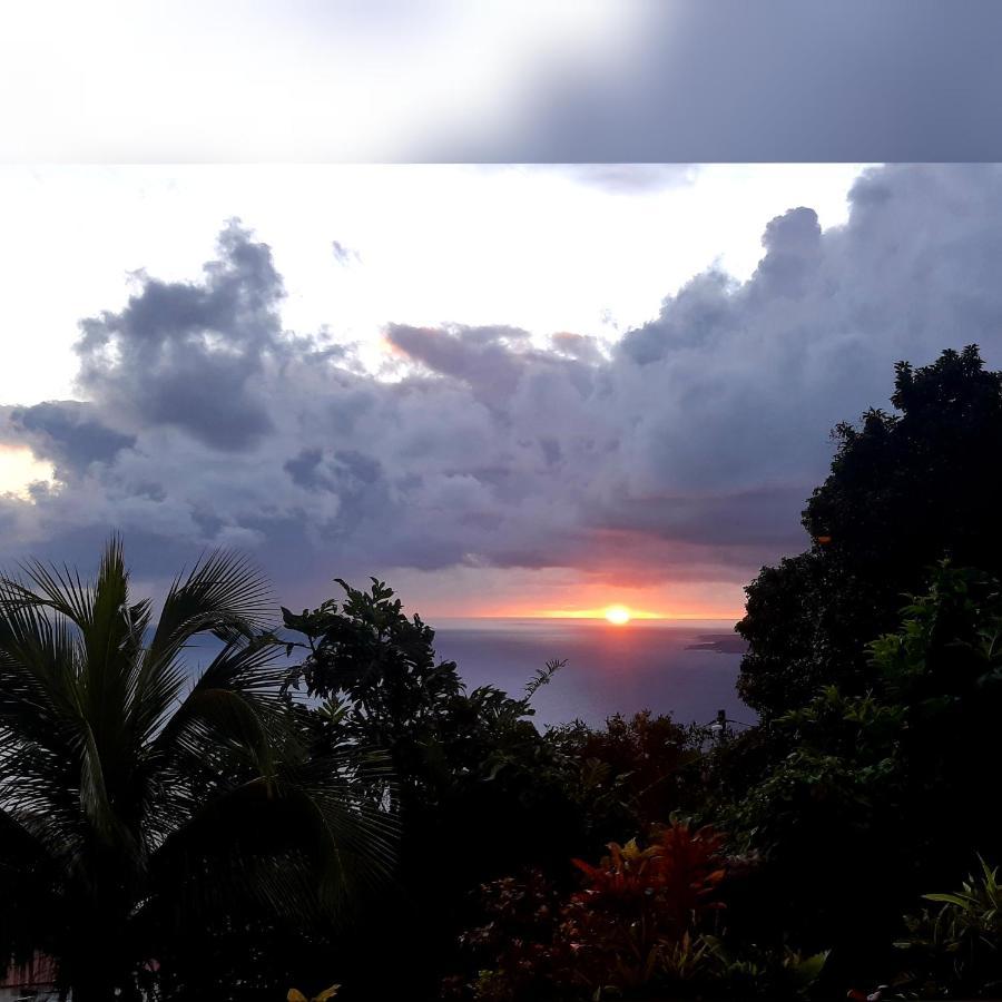 "Sunrise Inn" Nature Island Dominica Penville Exterior foto