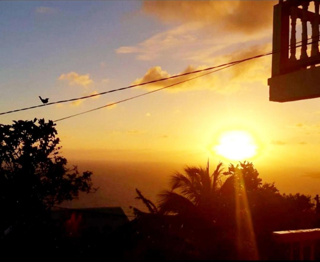 "Sunrise Inn" Nature Island Dominica Penville Exterior foto